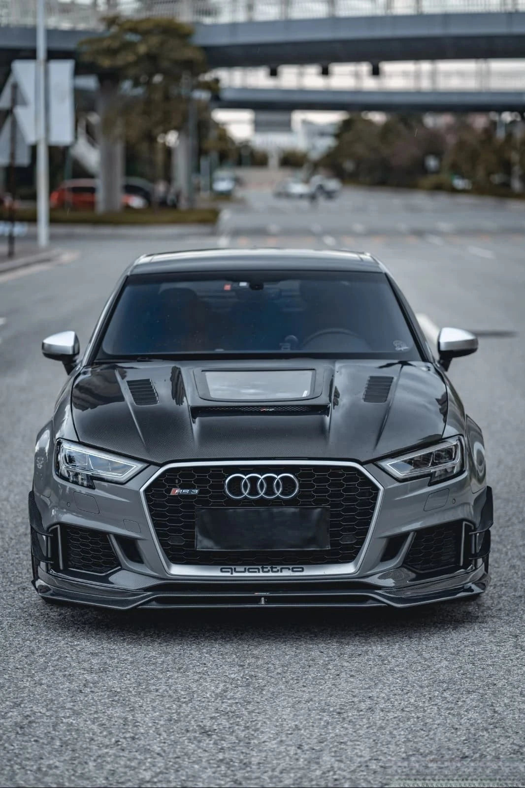 Audi RS3 8V (2015-2020)