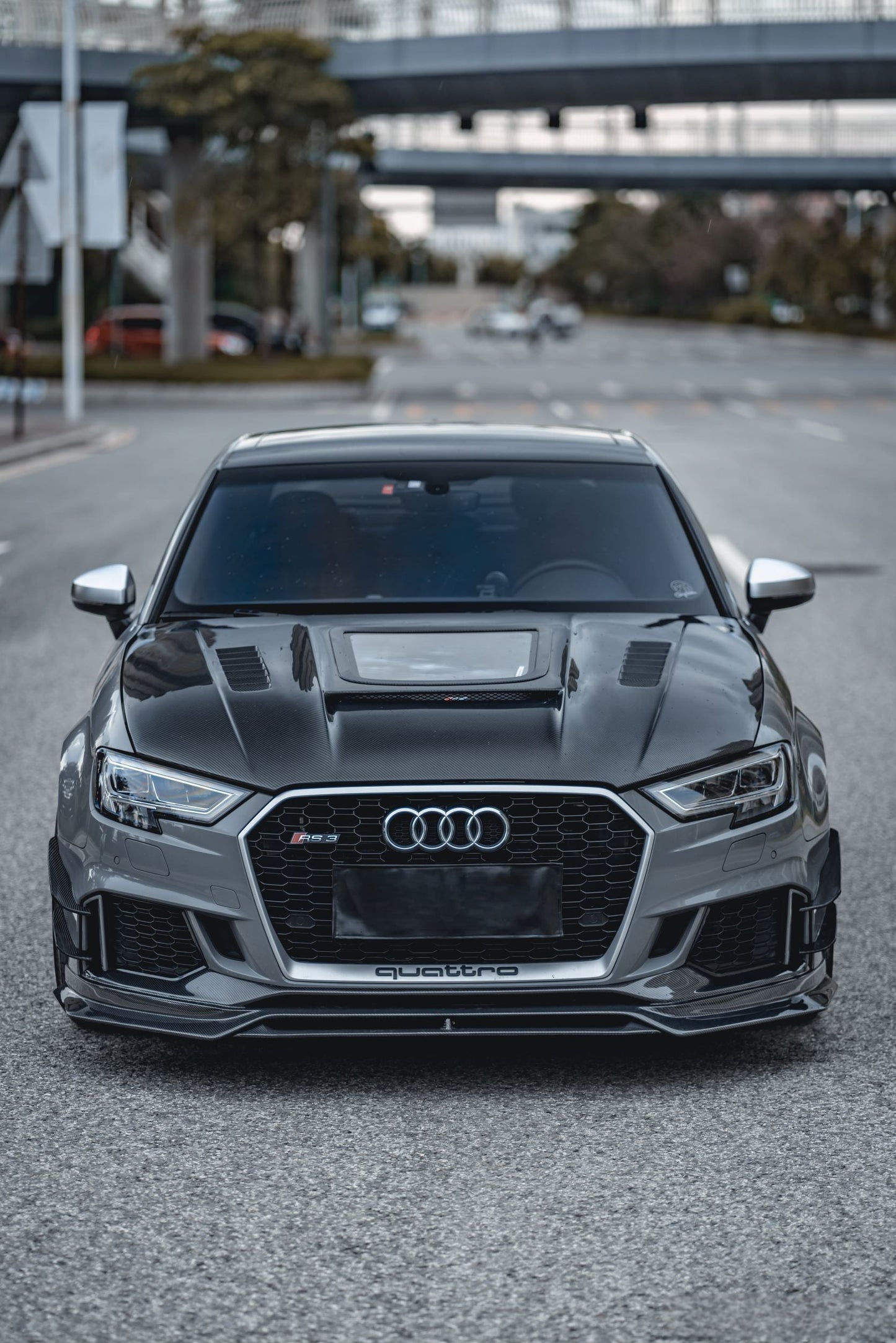 AUDI RS3 2015-2020 Carbon Fiber Open Engine Hood