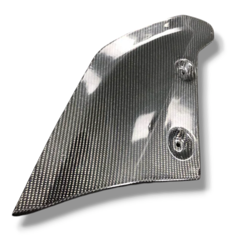 AUDI R8 V8 (V10) 2016-2018 Carbon Fiber Rear Splitters